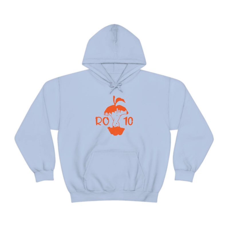 Unisex Heavy Blend™ORAP Hooded Sweatshirt