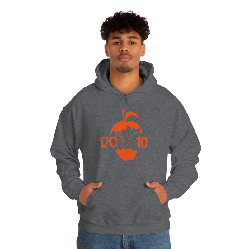 Unisex Heavy Blend™ORAP Hooded Sweatshirt