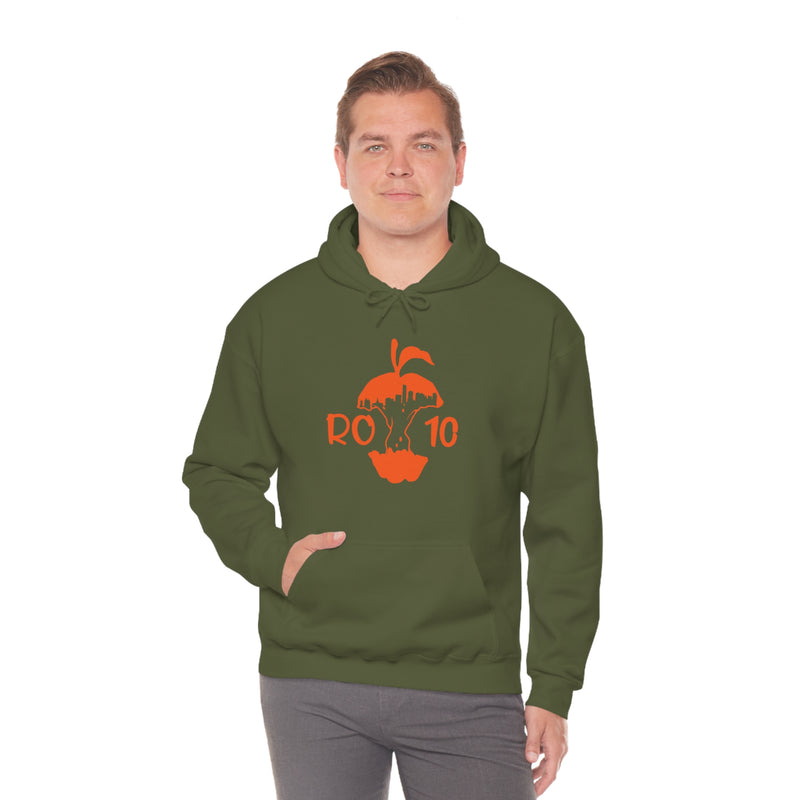 Unisex Heavy Blend™ORAP Hooded Sweatshirt